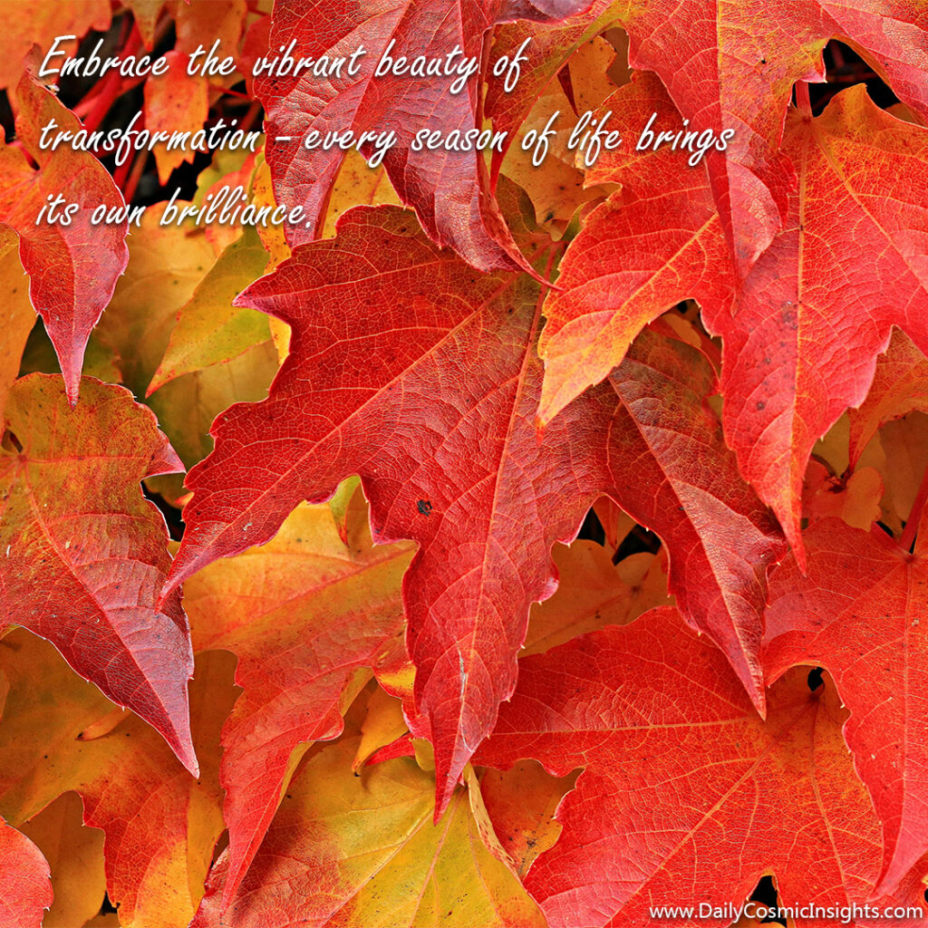 A close-up photograph of brilliant red, yellow and orange autumn leaves. The text reads, "Embrace the vibrant beauty of transformation—every season of life brings its own brilliance."