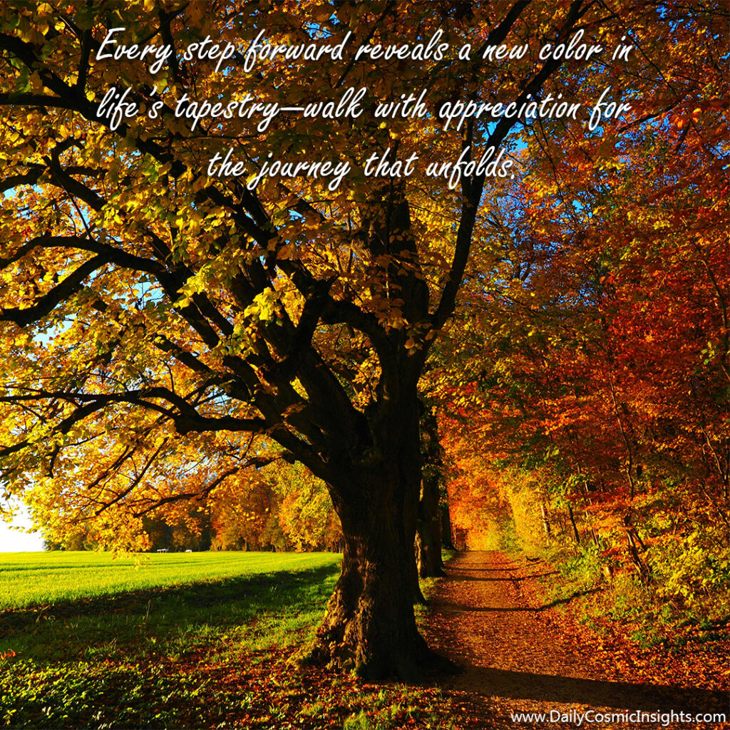 Every step forward reveals a new color in life’s tapestry—walk with appreciation for the journey that unfolds.