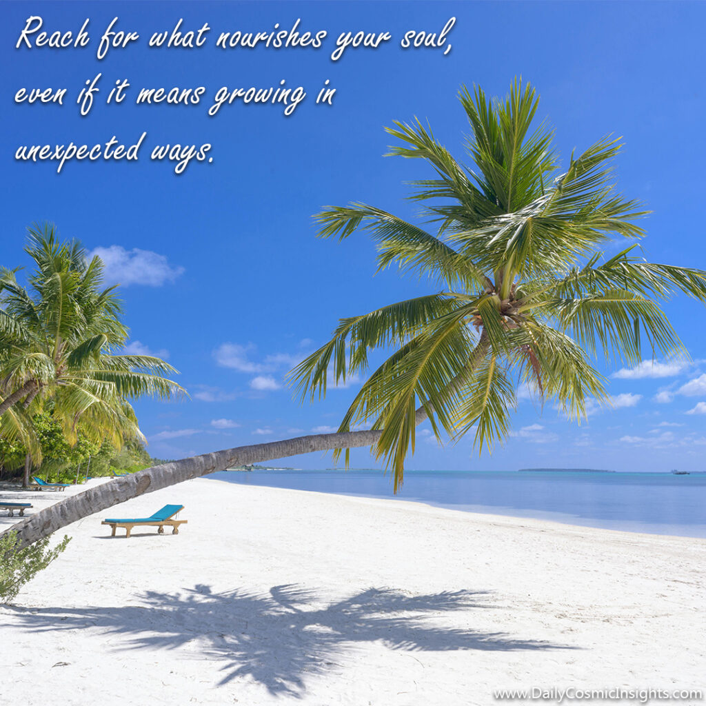 A palm tree grows over a sandy beach, stretching almost horizontally towards the water. The text reads, "Reach for what nourishes your soul, even if it means growing in unexpected ways."