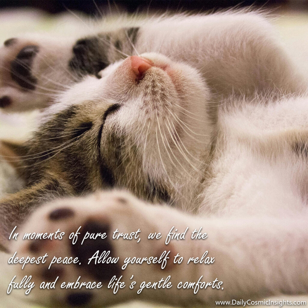 In moments of pure trust, we find the deepest peace. Allow yourself to relax fully and embrace life’s gentle comforts.